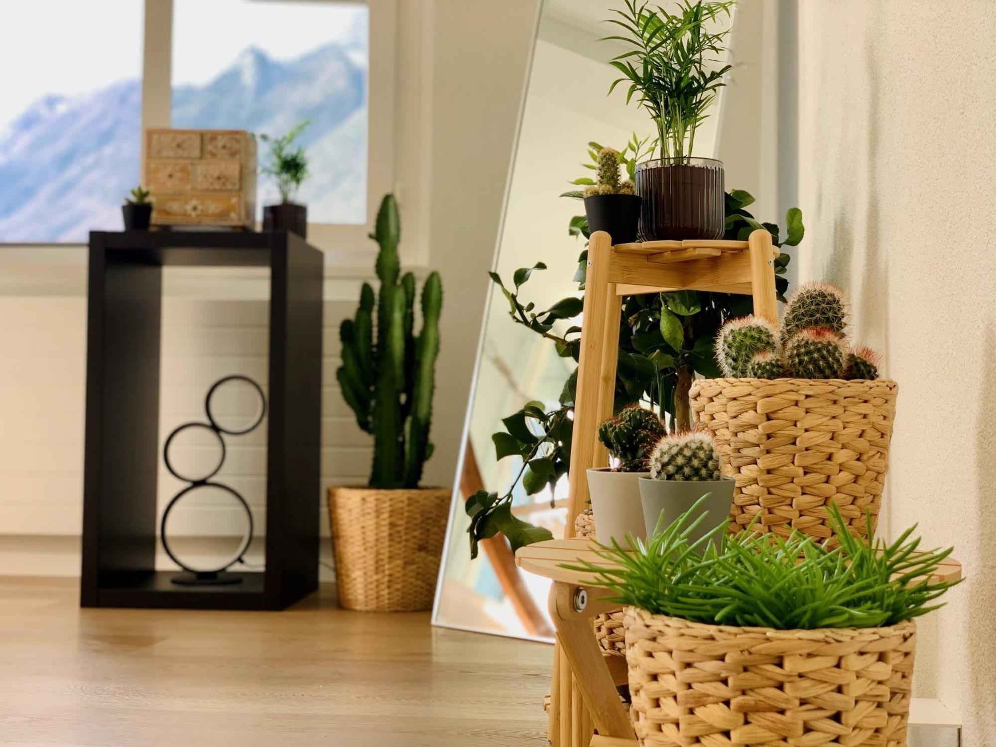 Eva O Wellnessoasis O Montainview O Pizzaoven O Lägenhet Ingenbohl Exteriör bild
