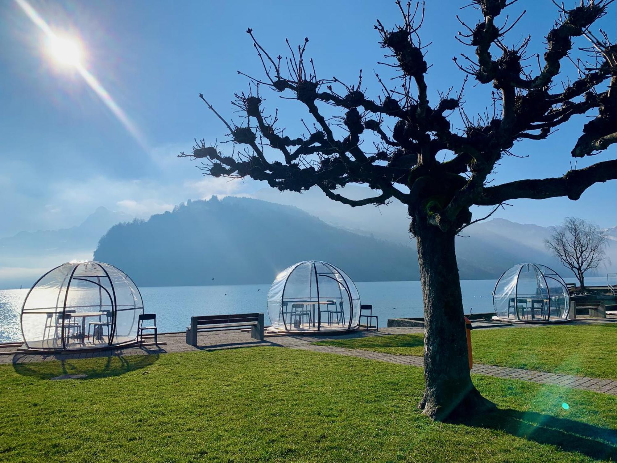 Eva O Wellnessoasis O Montainview O Pizzaoven O Lägenhet Ingenbohl Exteriör bild