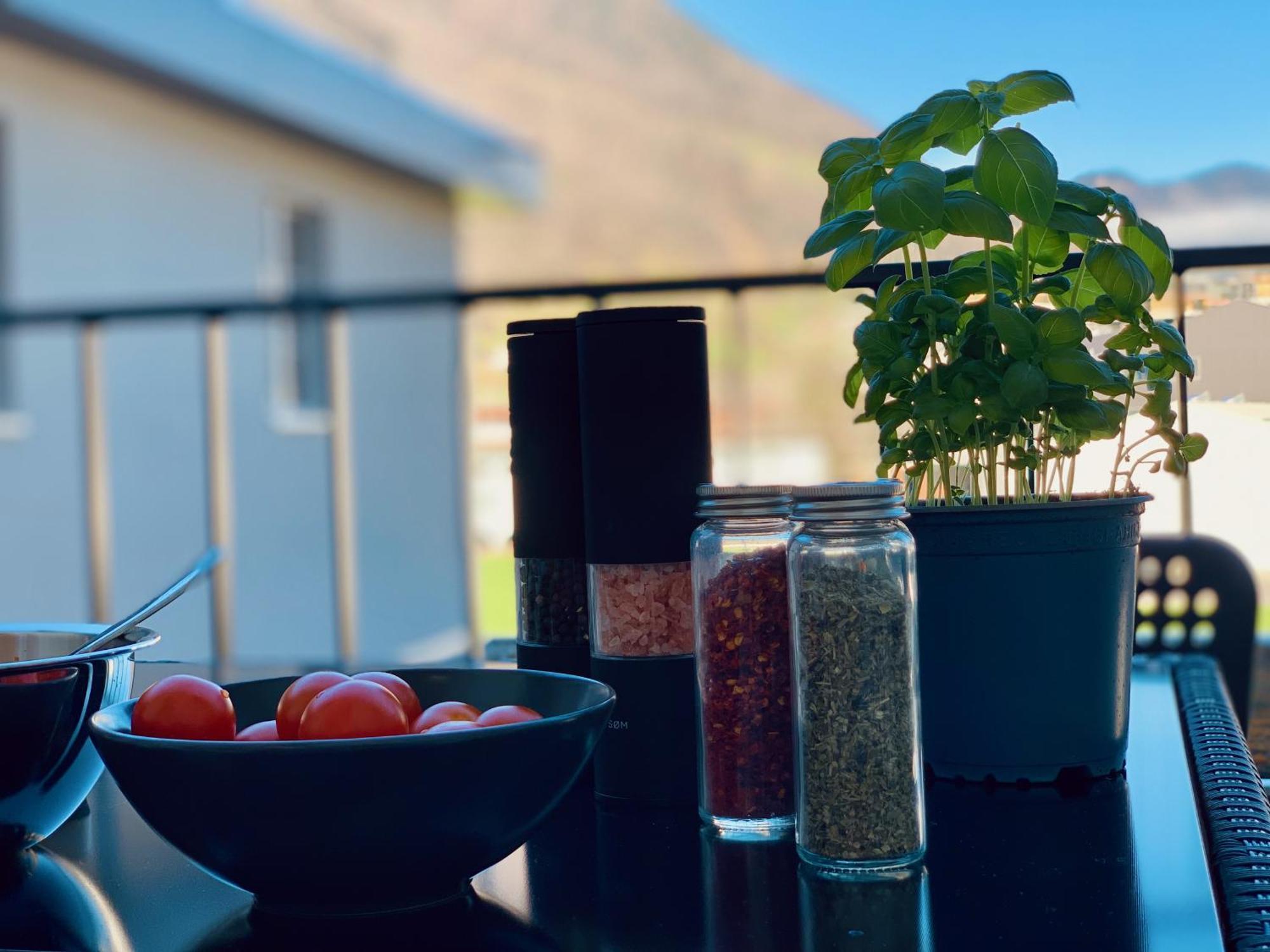Eva O Wellnessoasis O Montainview O Pizzaoven O Lägenhet Ingenbohl Exteriör bild